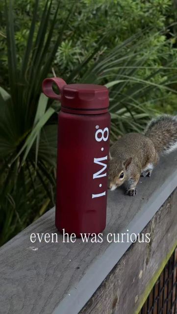 🌱Lately I’ve been focusing on keeping things simple instead of overthinking everything.

One of the biggest shifts for me has been making sure I’m consistently getting the nutrients my body actually needs. Not just eating “healthy,” but supporting digestion, gut health, and overall function on a daily basis.

IM8 combines a full spectrum of nutrients, including vitamins, minerals, and a blend of pre, probiotic, and postbiotic support to help maintain a healthy gut environment and support digestion.

It also includes key nutrients that support energy production, hydration, and nervous system function, which all play a role in how your body handles stress and recovers day to day.

That’s why I keep it simple with @im8health 

🤍Link in bio and use code ALISSA10 to save on your first order

#guthealth #digestion #nutrition #wellnessroutine #healthylifestyle