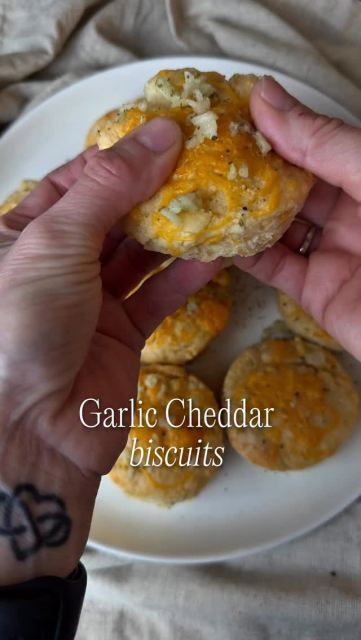Soft, cheesy garlic biscuits made with simple ingredients and no yeast. Perfect with soup, pasta or as a delicious side 🤍

Ingredients:
• 2 cups all-purpose flour or gluten-free 1:1 flour
• 1 tbsp baking powder
• 1/2 tsp salt
• 1 tsp garlic powder
• 1 cup shredded cheddar, mozzarella or a cheese blend
• 1 cup plain Greek yogurt
• 3 tbsp melted butter or oil

Optional Garlic Butter Topping:
• 2 tbsp melted butter
• minced garlic or garlic powder
• 1 tsp Italian seasoning

Easy homemade biscuits with Greek yogurt that turn out soft, fluffy and cheesy every time. These work great in the oven or air fryer and pair perfectly with pasta, soup or cozy dinner recipes.

Full recipe, baking instructions and macros linked in bio ✨

#biscuits #easyrecipe #proteinrecipes #healthyrecipes #healthyeating